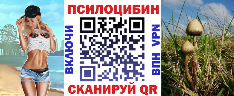 Псилоцибиновые грибы Psilocybine cubensis  Суоярви 